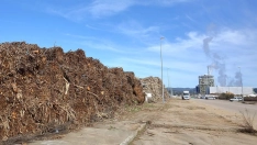 Actividad de la empresa Forestalia en el polígono industrial de Cubillos del Sil.