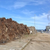 Actividad de la empresa Forestalia en el polígono industrial de Cubillos del Sil.