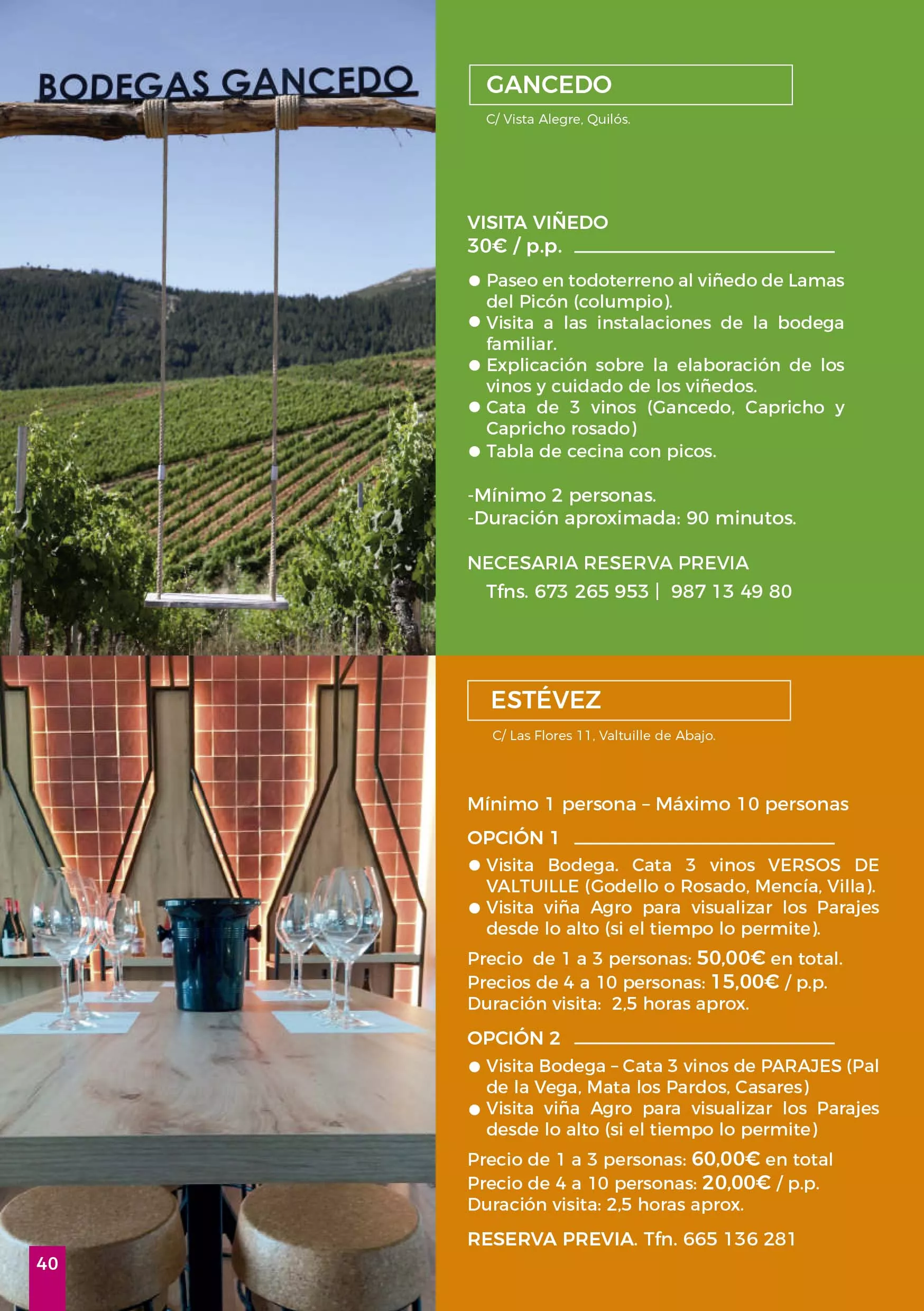 Jornadas Gastronomicas del Bierzo 2024 40 Jornadas Gastronomicas del Bierzo 2024 40