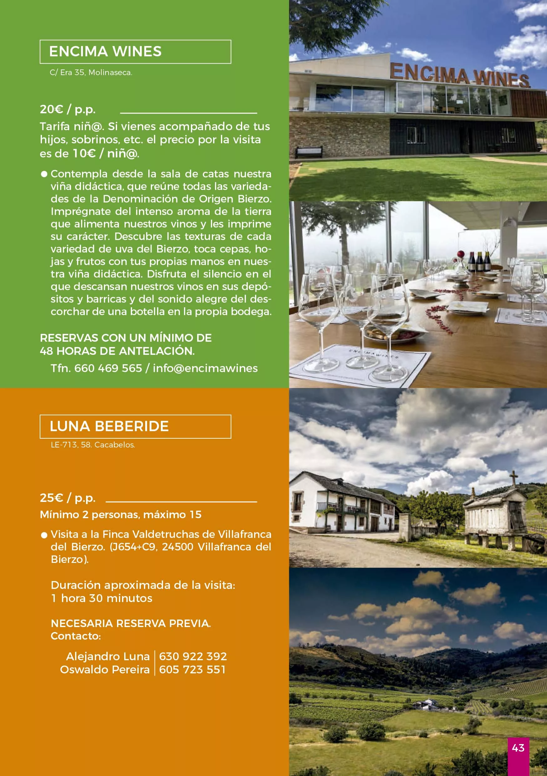 Jornadas Gastronomicas del Bierzo 2024 43 Jornadas Gastronomicas del Bierzo 2024 43