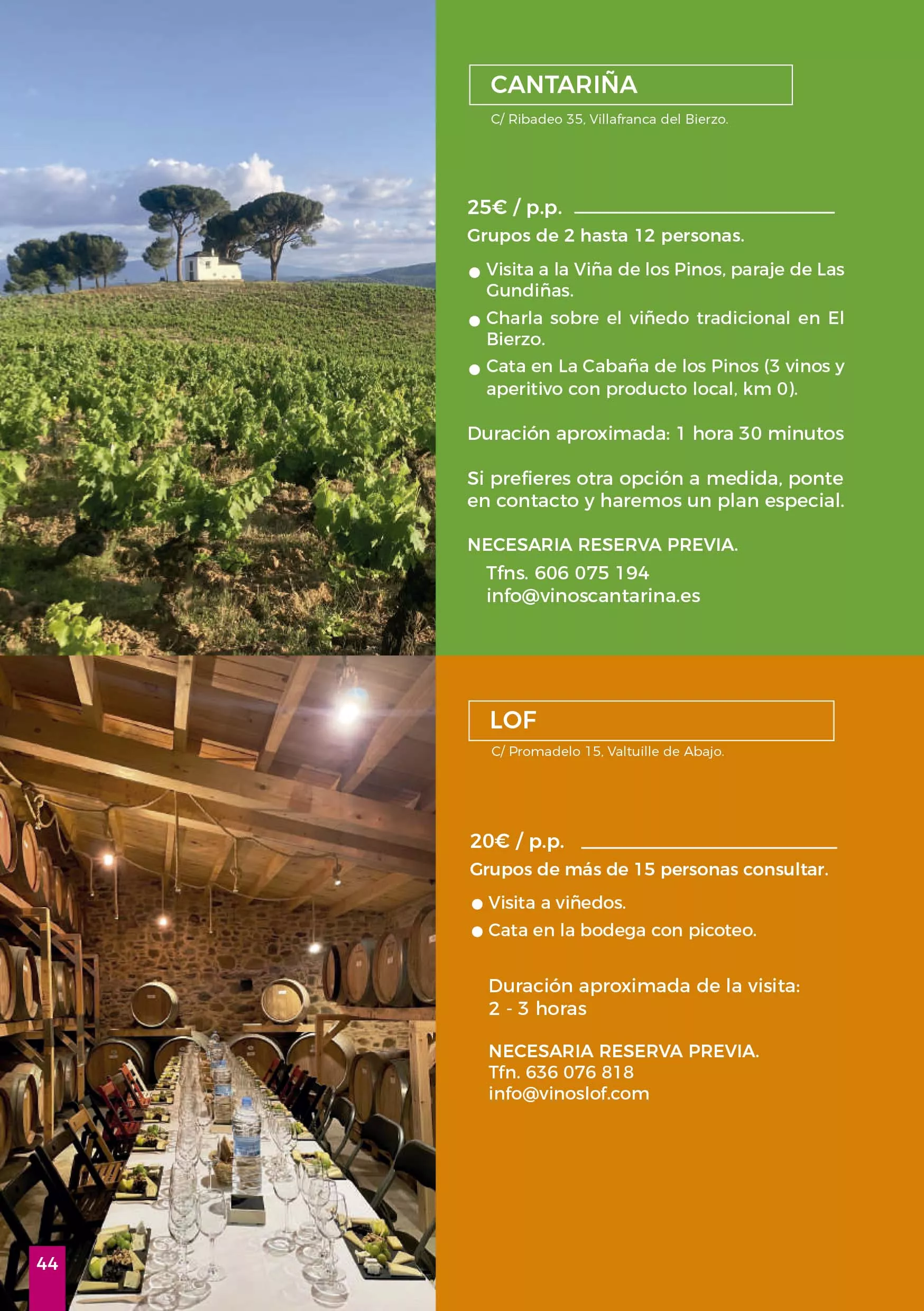 Jornadas Gastronomicas del Bierzo 2024 44 Jornadas Gastronomicas del Bierzo 2024 44