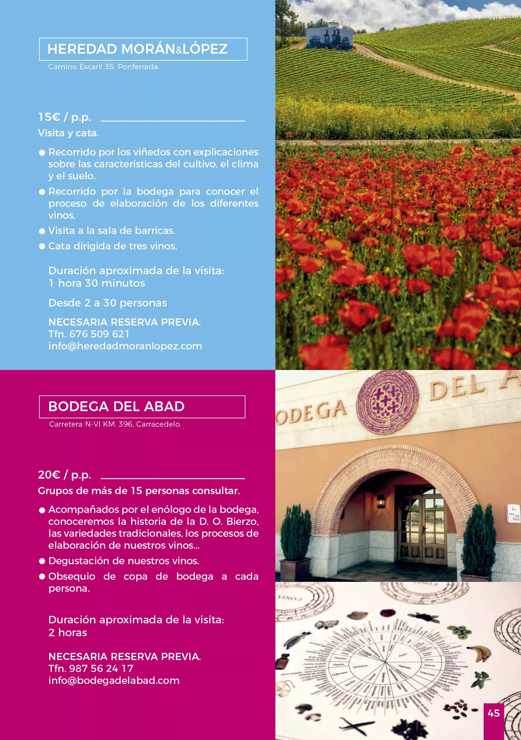 Jornadas Gastronomicas del Bierzo 2024 45 Jornadas Gastronomicas del Bierzo 2024 45