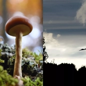 El VI Concurso de Fotografía de la Reserva de la Biosfera de los Ancares Leoneses da a conocer a sus ganadores