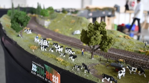 Exposición de Modelismo Ferroviario (22)