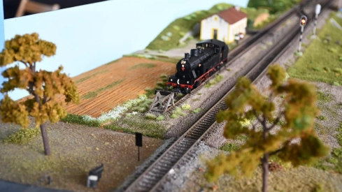 Exposición de Modelismo Ferroviario (24)