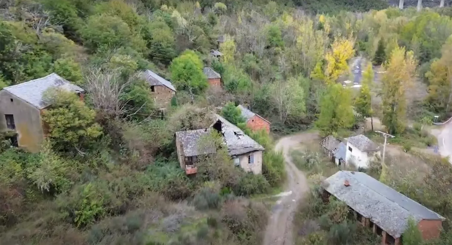 Cerezal de Tremor 2 Cerezal de Tremor 2