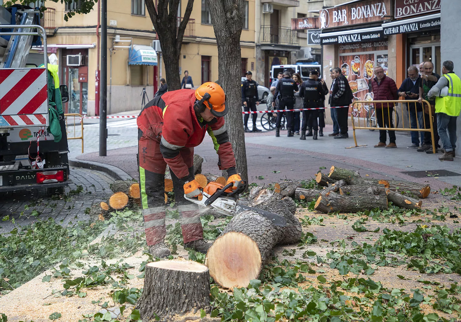 Tala de árboles en la plaza del Oeste de Salamanca Tala de árboles en la plaza del Oeste de Salamanca