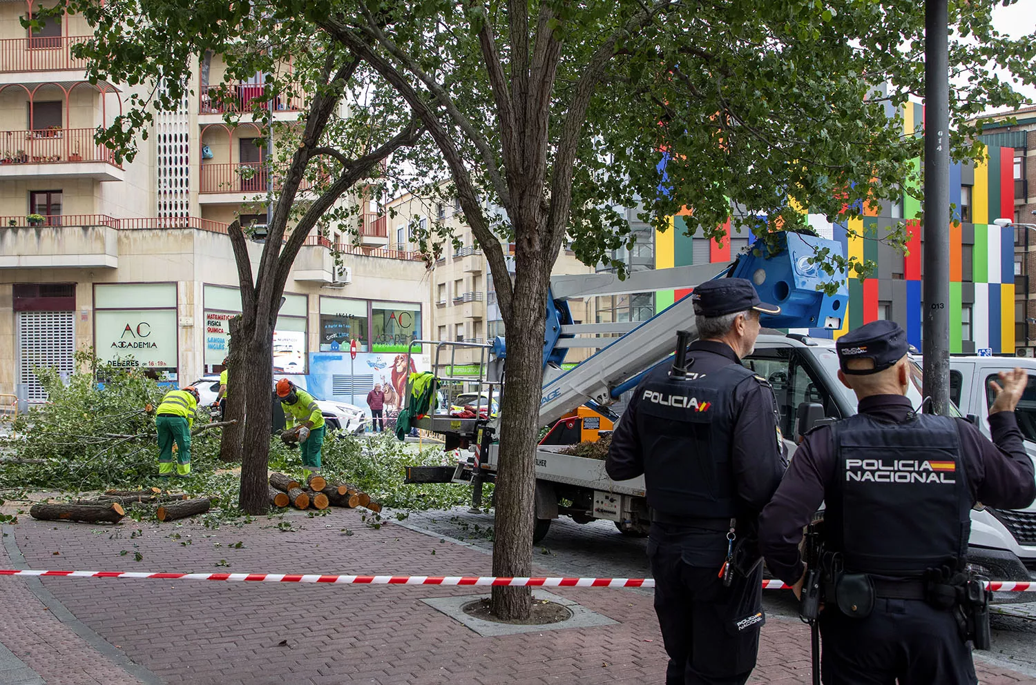 Tala de árboles en la plaza del Oeste de Salamanca. Tala de árboles en la plaza del Oeste de Salamanca.