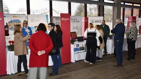 Feria de empleo y emprendimiento (5)