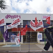 Planta de Bimbo en Valladolid 