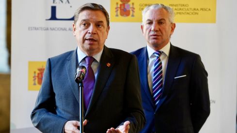 El ministro de Agricultura, Pesca y Alimentación, Luis Planas 