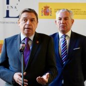 El ministro de Agricultura, Pesca y Alimentación, Luis Planas 