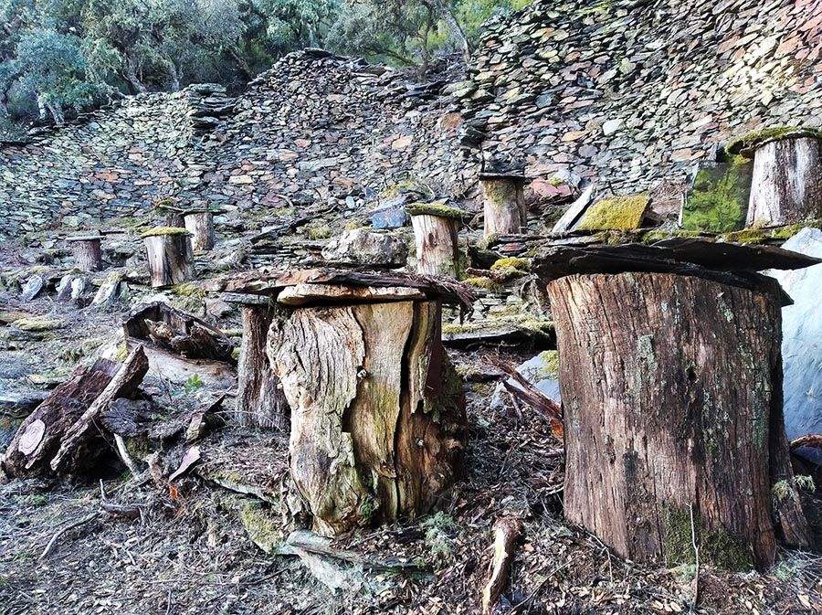 Cortines de Fonfr� en la comarca del Bierzo