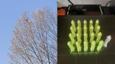 Más de 1.000 dardos impresos en 3D combatirán la expansión de la avispa asiática en El Bierzo