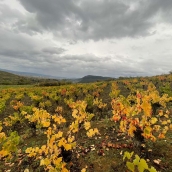 Tiempo nublado y otoñal en El Bierzo | 
