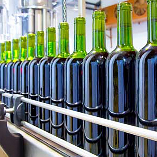 El Bierzo acoge otra edición de la Microcredencial en Gestión y Comercialización de Industria Vitivinícola