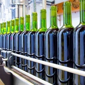 El Bierzo acoge otra edición de la Microcredencial en Gestión y Comercialización de Industria Vitivinícola