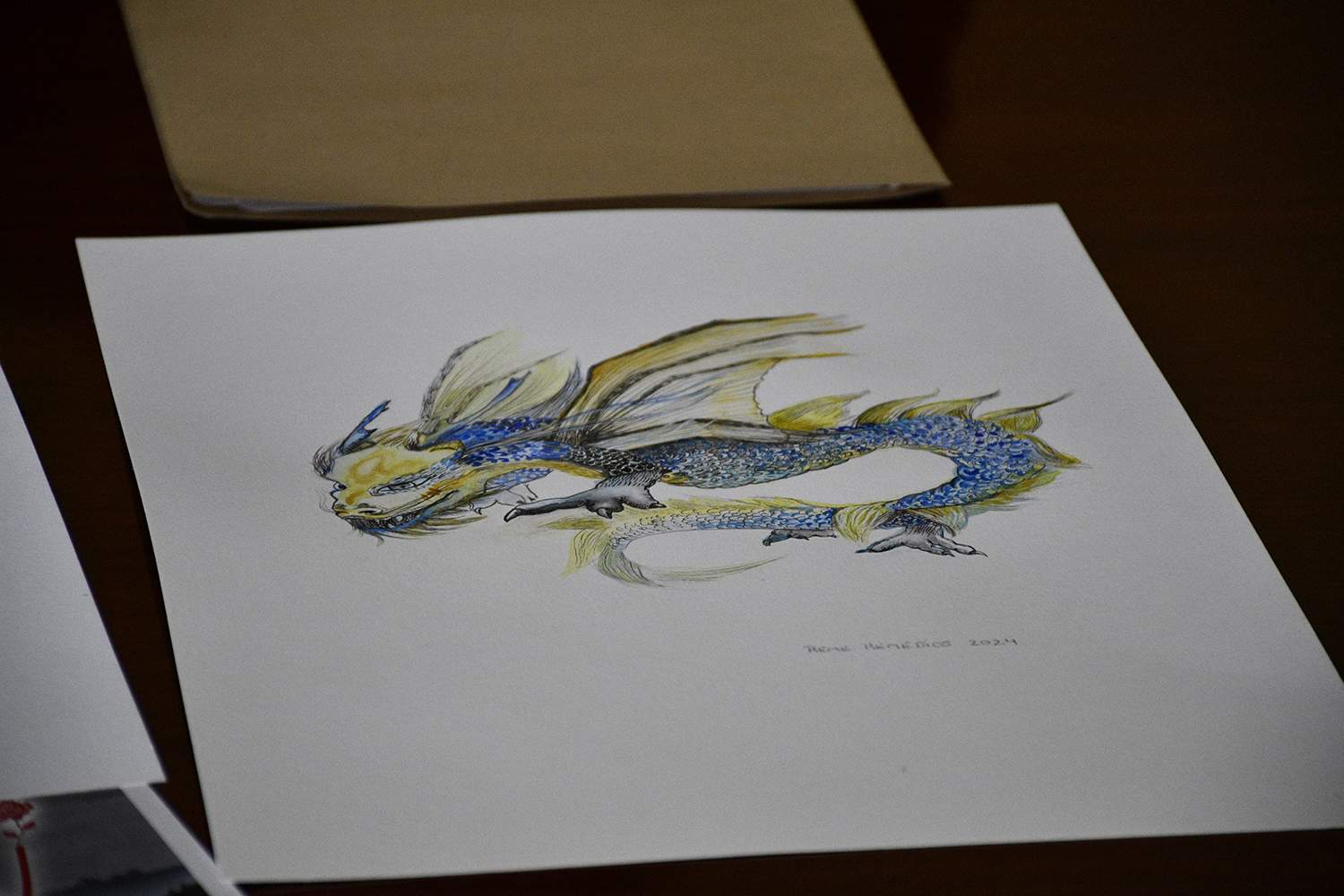 Diseño de la Dragoman por Reme Remedios Diseño de la Dragoman por Reme Remedios