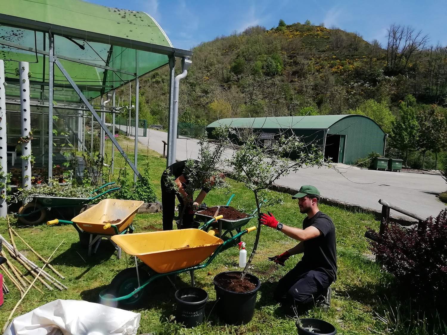 Se trata de dos programas financiados por el Servicio Público de Empleo, Sepe, en colaboración con el Ministerio de Transición Ecológica y la selección de participantes se llevará a cabo a finales de este mes de noviembre Se trata de dos programas financiados por el Servicio Público de Empleo, Sepe, en colaboración con el Ministerio de Transición Ecológica y la selección de participantes se llevará a cabo a finales de este mes de noviembre