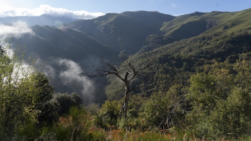 Ruta BTT en los canales romanos de la Tebaida Berciana | Foto: César Sánchez, ICAL Ruta BTT en los canales romanos de la Tebaida Berciana | Foto: César Sánchez, ICAL