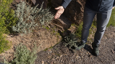 Ruta BTT en los canales romanos de la Tebaida Berciana | Foto: César Sánchez, ICAL Ruta BTT en los canales romanos de la Tebaida Berciana | Foto: César Sánchez, ICAL