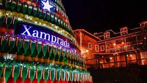Encendido de las luces de Navidad del Palacio de Canedo (37)