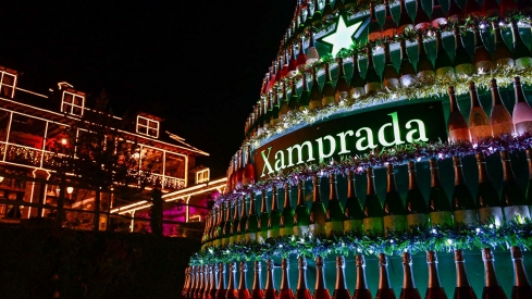 Encendido de las luces de Navidad del Palacio de Canedo (36)