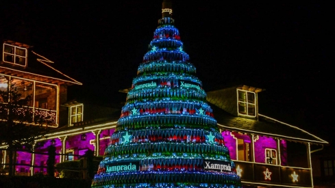 Encendido de las luces de Navidad del Palacio de Canedo (35)