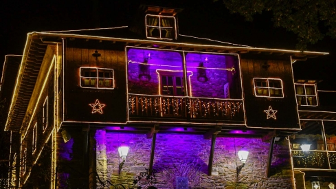 Encendido de las luces de Navidad del Palacio de Canedo (32)