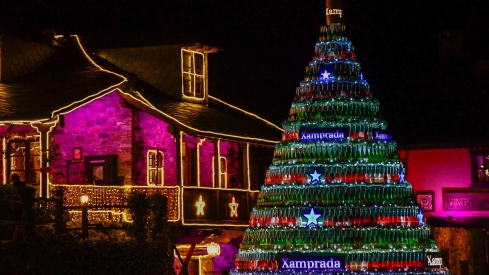 Encendido de las luces de Navidad del Palacio de Canedo (31)