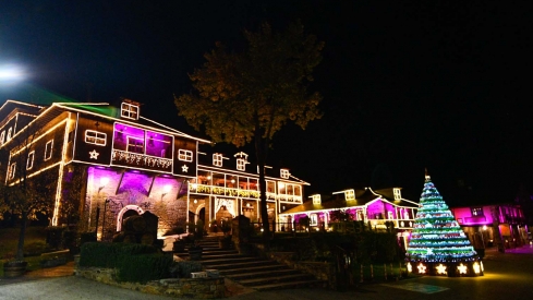 Encendido de las luces de Navidad del Palacio de Canedo (29)