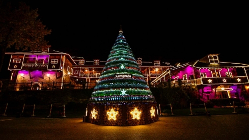 Encendido de las luces de Navidad del Palacio de Canedo (28)