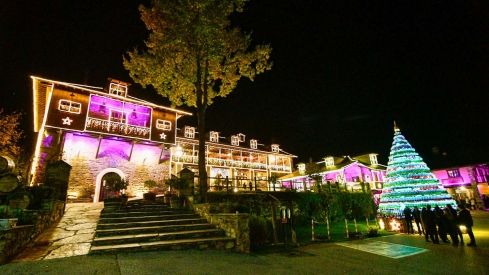 Encendido de las luces de Navidad del Palacio de Canedo (26)