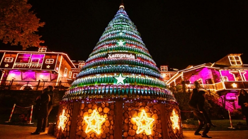 Encendido de las luces de Navidad del Palacio de Canedo (23)