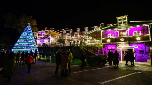 Encendido de las luces de Navidad del Palacio de Canedo (21)