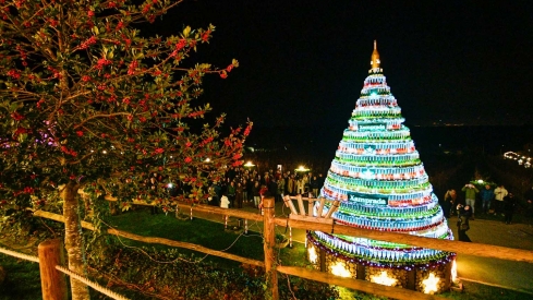 Encendido de las luces de Navidad del Palacio de Canedo (12)