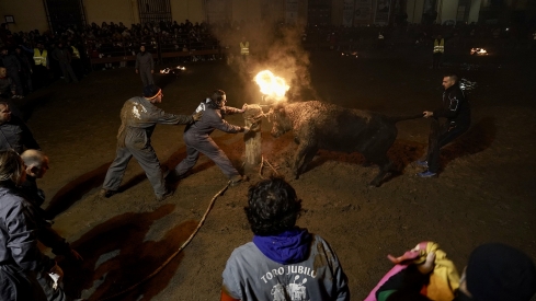 Eduardo Margareto / ICAL . Medinaceli (Soria) celebra su Toro Jubilo, el único con fuego de Castilla y León