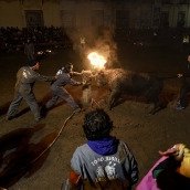 Eduardo Margareto / ICAL . Medinaceli (Soria) celebra su Toro Jubilo, el único con fuego de Castilla y León