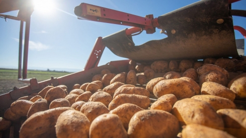 Impulso al emprendimiento rural con el reconocimiento de negocios sostenibles (1)