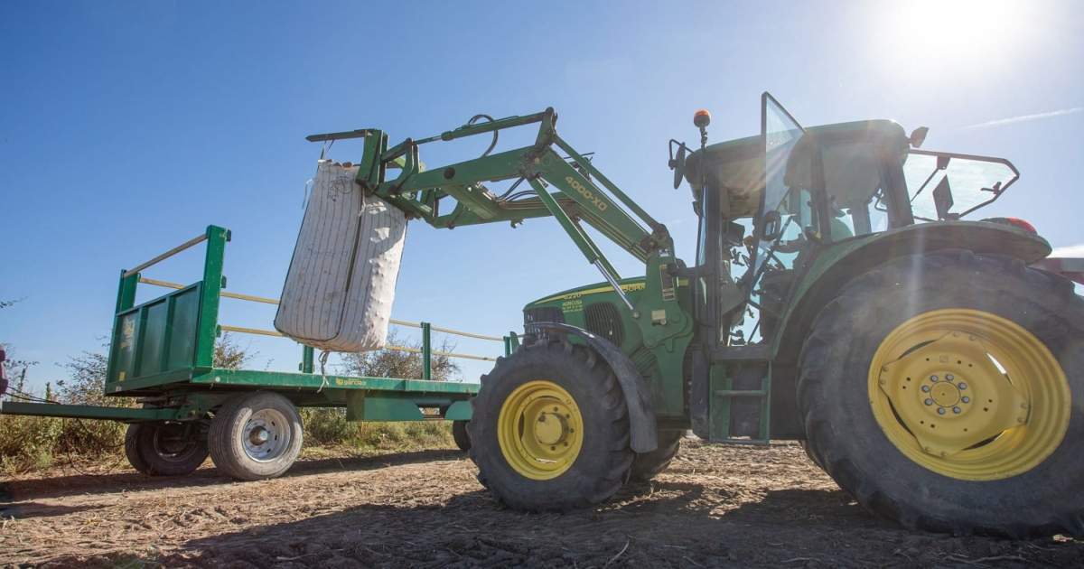 Impulso al emprendimiento rural con el reconocimiento de negocios ...