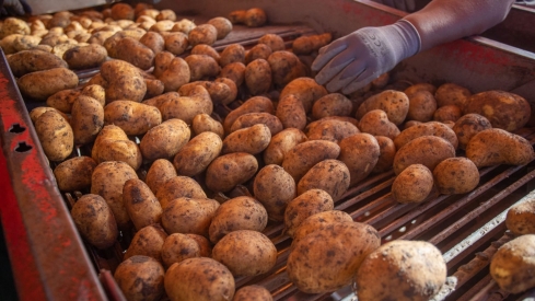 Impulso al emprendimiento rural con el reconocimiento de negocios sostenibles (13)