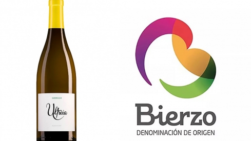 El Godello berciano al que los expertos en vino le dan un "sobresaliente"