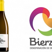 El Godello berciano al que los expertos en vino le dan un "sobresaliente"