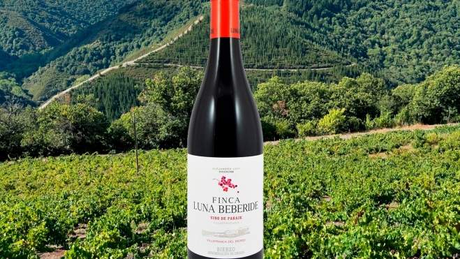 El vino berciano Finca Luna Beberide 2022 Vino de Paraje entre los 20 mejores vinos para disfrutar esta Navidad por el periódico The Sun 2