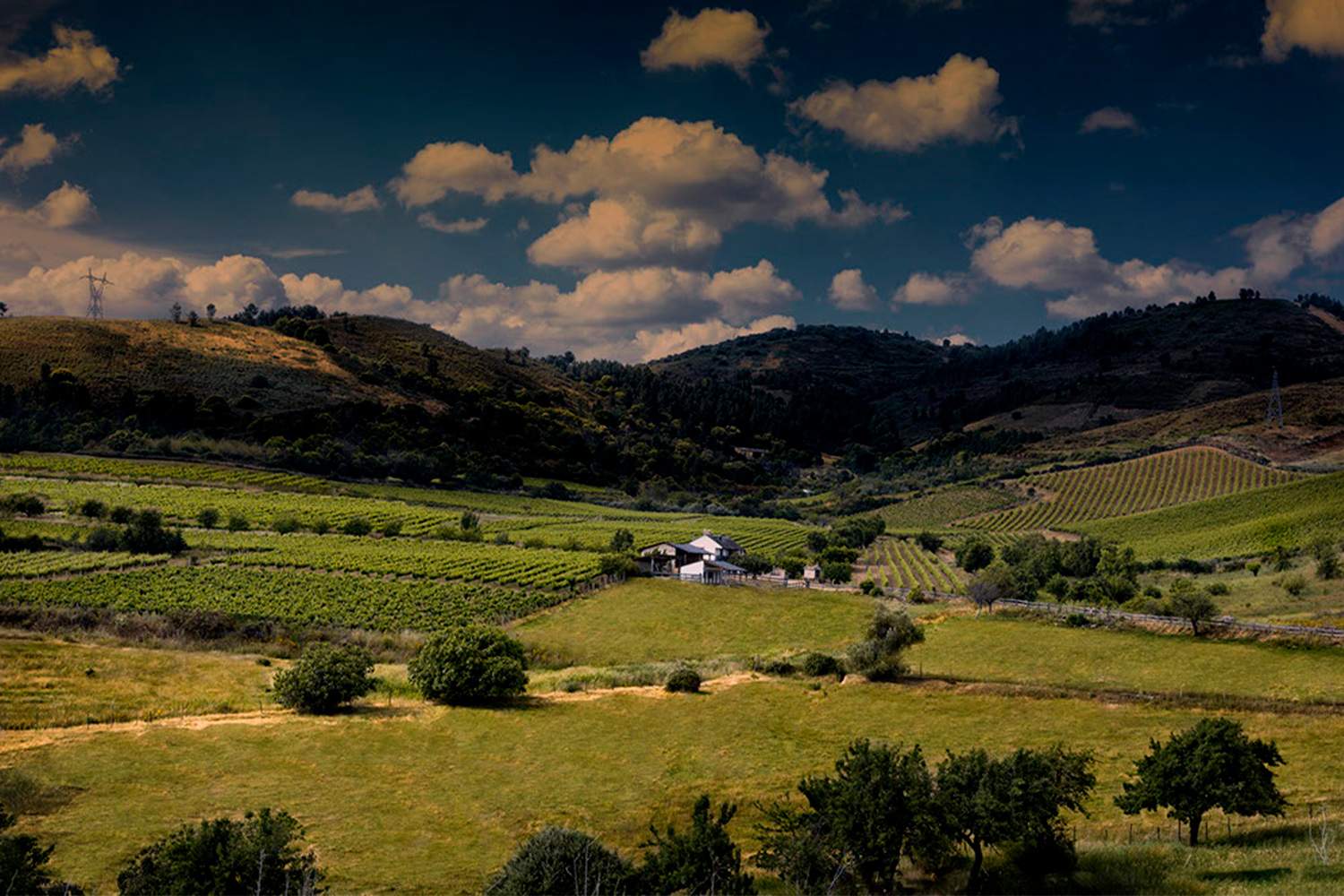  Finca Luna Beberide | La pizarra del Bierzo forja uno de los mejores vinos del año al recibir los 97 puntos Parker