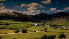  Finca Luna Beberide | La pizarra del Bierzo forja uno de los mejores vinos del año al recibir los 97 puntos Parker