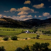  Finca Luna Beberide | La pizarra del Bierzo forja uno de los mejores vinos del año al recibir los 97 puntos Parker