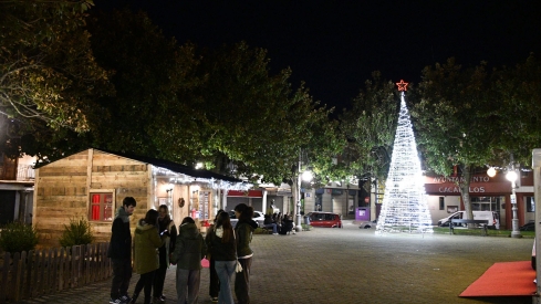 Luces navideñas de Cacabelos (9)