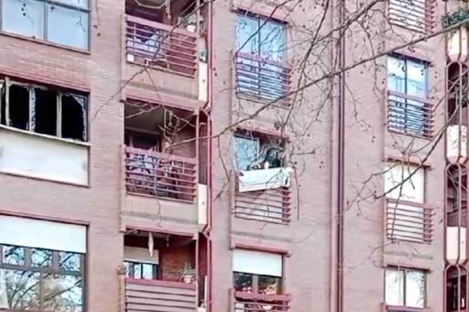 El incendio de una vivienda en la calle Río Urdiales de Ponferrada El incendio de una vivienda en la calle Río Urdiales de Ponferrada