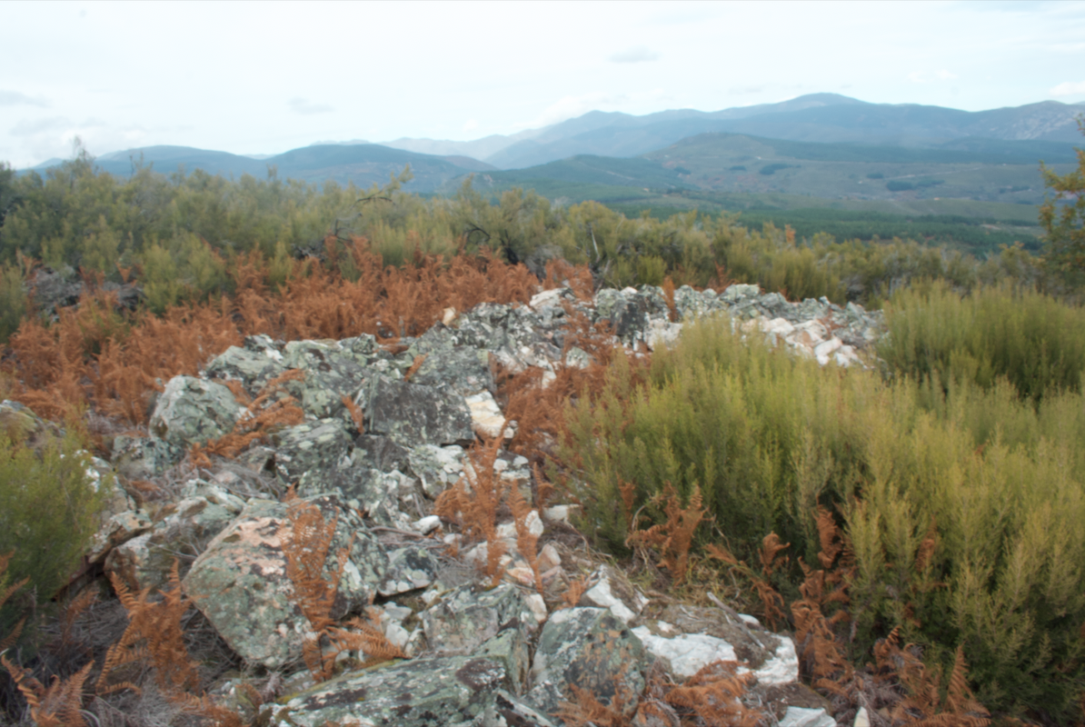 Castro de Peña Piñera (Sésamo, Vega de Espinareda) Castro de Peña Piñera (Sésamo, Vega de Espinareda)